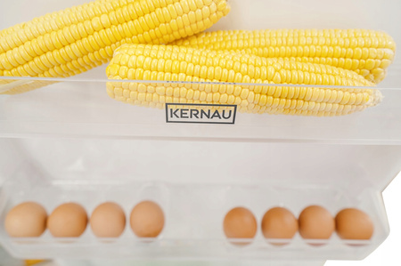 Lodówka wolnostojąca Kernau KFRC 18161.2 NF W NoFrost 186cm