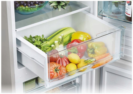 Lodówka wolnostojąca CANDY CCT3L517ES 176cm