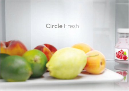 Lodówka CANDY CNCQ2T618EW