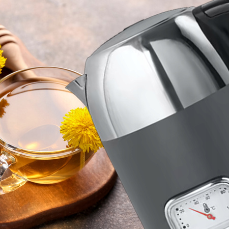 Czajnik elektryczny Muse MS-020DG srebrny/szary