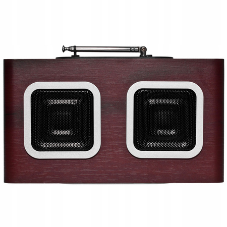 PP5BR Przenośny radioodtwarzacz z SD/USB