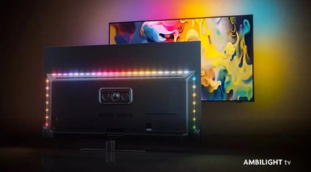 PHILIPS Telewizor LED 43 cale 43PUS8919/12