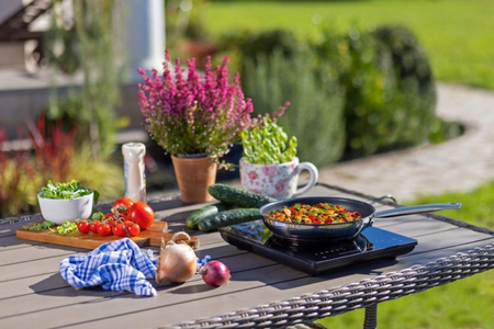 GORENJE Kuchenka turystyczna indukcyjna 1 pole ICY2000SP