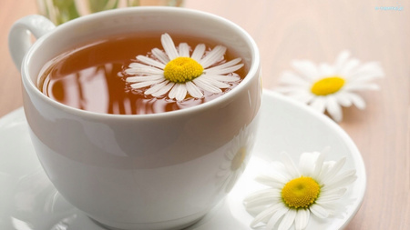 ESPERANZA Czajnik elektryczny Tugela 1.8L inox