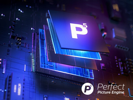 PHILIPS Telewizor LED 43 cale 43PUS8919/12