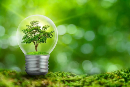 GORENJE Zamrażarka skrzyniowa FH30EAW