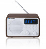 Radio przenośne FM PLL Bluetooth SD/USB/AUX/Zegar