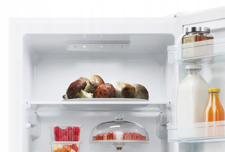 Lodówka wolnostojąca CANDY CCT3L517EW 176cm