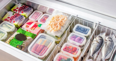 Zamrażarka skrzyniowa GORENJE FH25EAW 248L