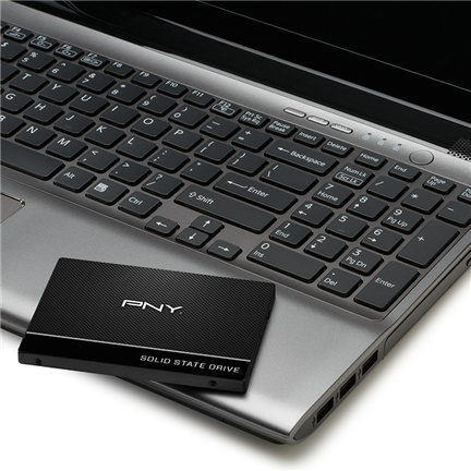 PNY Dysk SSD 250GB SSD7CS900-250-RB