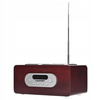 PP5BR Przenośny radioodtwarzacz z SD/USB