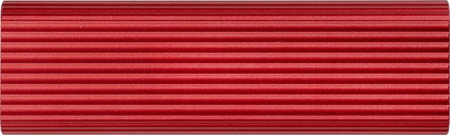 Dysk SSD 1TB Transporter Lite 1000/1000 MB/s Type