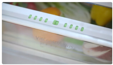 Lodówka Amica FK 2695.2FTX(E)