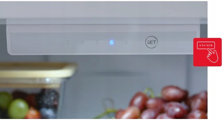 Lodówka Amica FK 2695.2FTX(E)