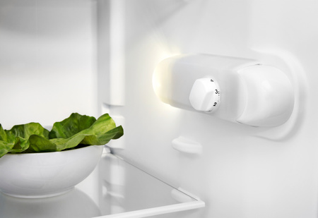 INDESIT Chłodziarka SI62W