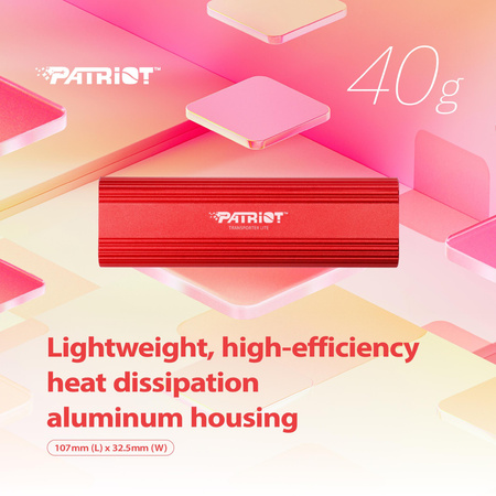 Dysk SSD 1TB Transporter Lite 1000/1000 MB/s Type